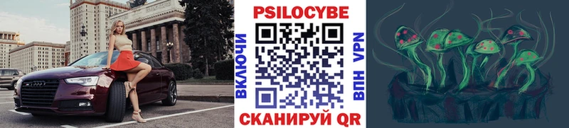 Псилоцибиновые грибы MAGIC MUSHROOMS  Купить закладки  Курильск 