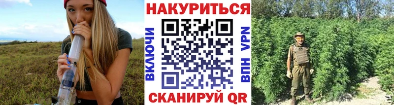 Купить закладки  Курильск  Бошки марихуана индика 